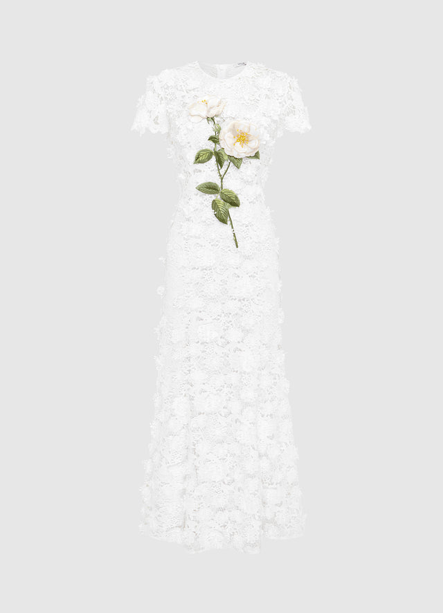 Solmira™ | Nuit de Solmira