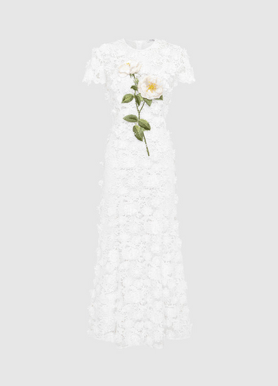 Solmira™ | Nuit de Solmira