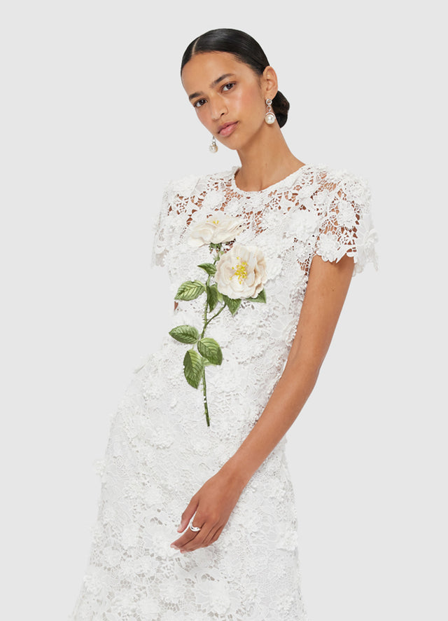 Solmira™ | Nuit de Solmira